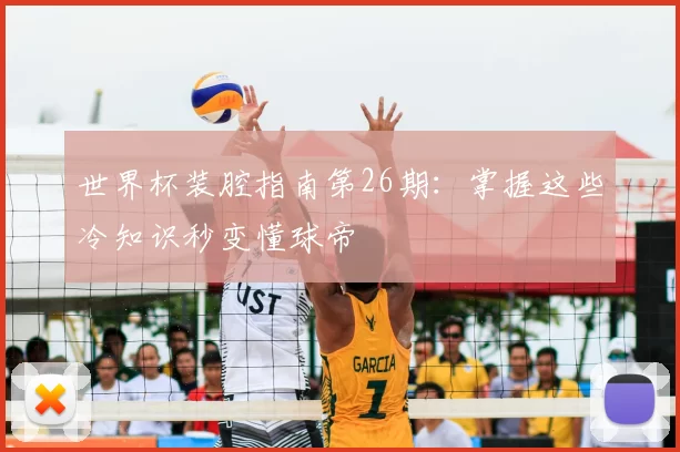 世界杯装腔指南第26期：掌握这些冷知识秒变懂球帝