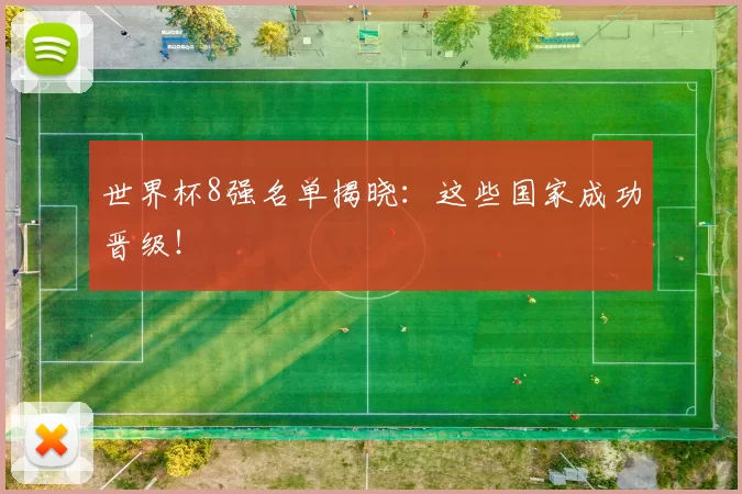世界杯8强名单揭晓:这些国家成功晋级!