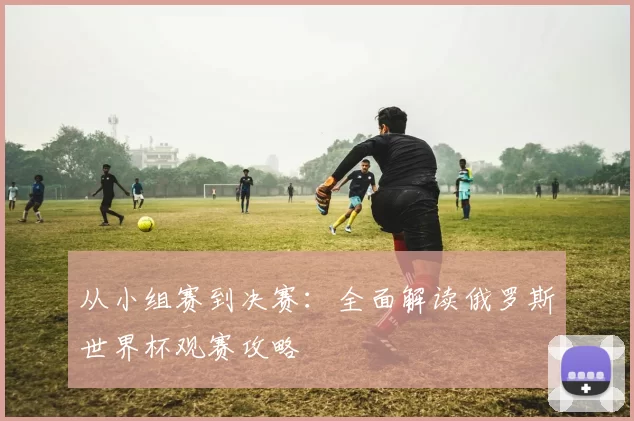 从小组赛到决赛：全面解读俄罗斯世界杯观赛攻略