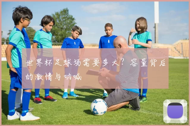 世界杯足球场需要多大?容量背后的激情与呐喊