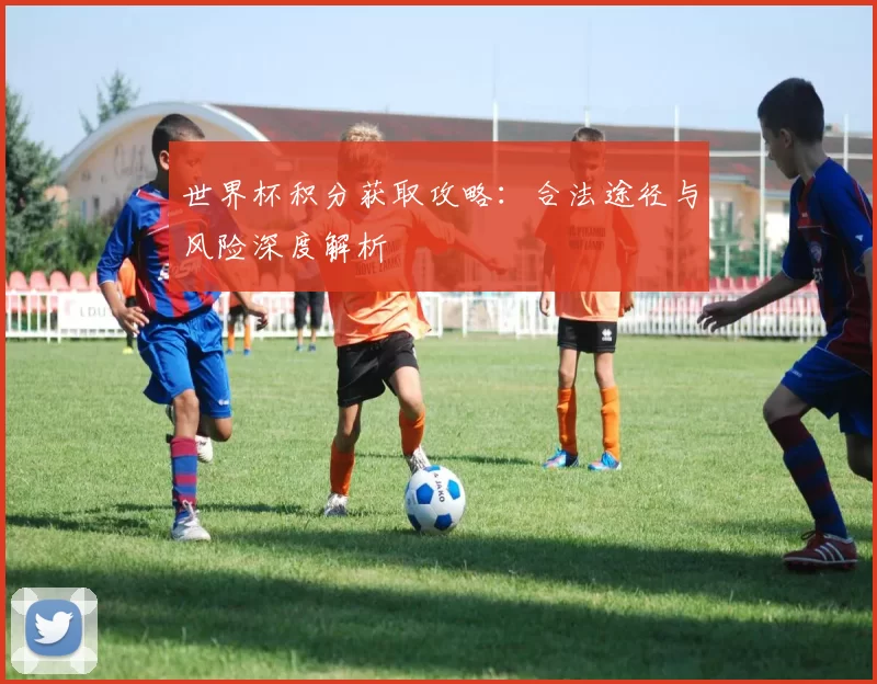 世界杯积分获取攻略:合法途径与风险深度解析