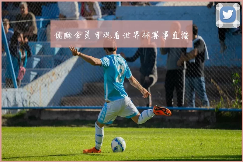 优酷会员可观看世界杯赛事直播