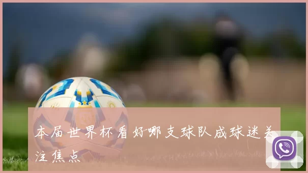 本届世界杯看好哪支球队成球迷关注焦点