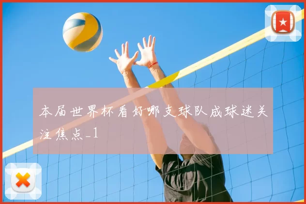 本届世界杯看好哪支球队成球迷关注焦点_1