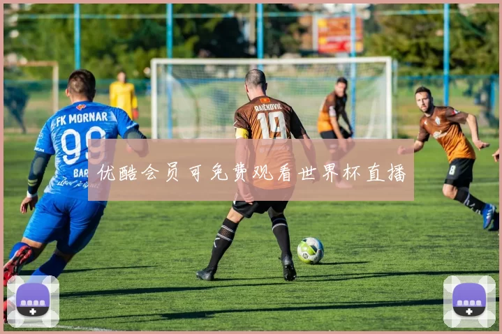 优酷会员可免费观看世界杯直播