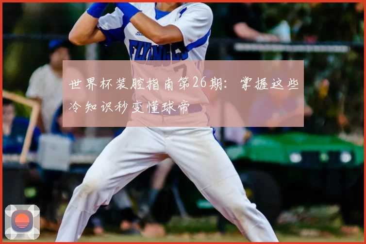 世界杯装腔指南第26期:掌握这些冷知识秒变懂球帝