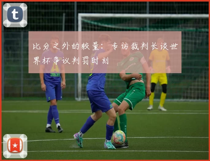 比分之外的较量：专访裁判长谈世界杯争议判罚时刻