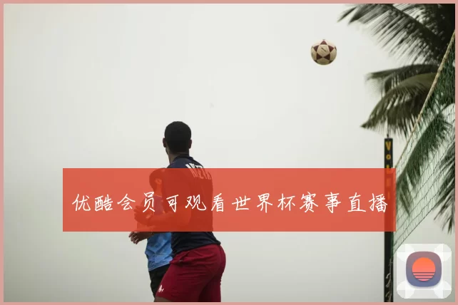 优酷会员可观看世界杯赛事直播