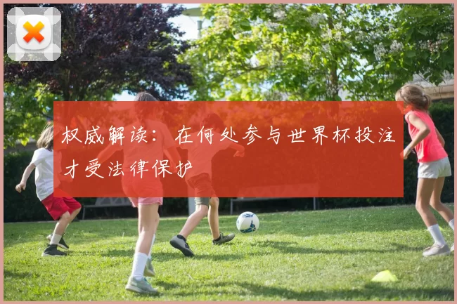 权威解读：在何处参与世界杯投注才受法律保护