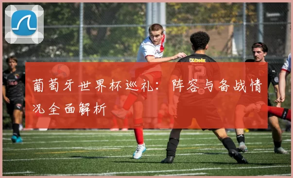 葡萄牙世界杯巡礼:阵容与备战情况全面解析